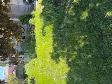 JT Lawn Care and Cleaning Servicing Guelph and Area - Photo 9