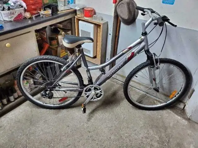 Velo de montagne infinity gris 21 vitesses roues 26po cadre 18po