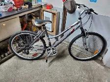 Velo de montagne infinity gris 21 vitesses roues 26po cadre 18po