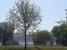 Central location - Hull near Ottawa / Endroit idéal Vieux Hull - Photo 10