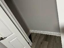 Private bedroom for rent- only girl - Photo 2