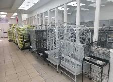 GRAND OPENING SALE – CENTRAL PET AGINCOURT MALL - Photo 4