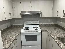 3 bed 1 bath Basement for Rent - Photo 10