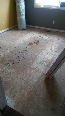 Carpet POWER Stretching and Repair... - Photo 5