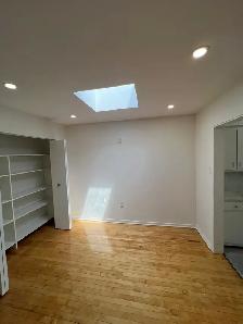 Exclusive Dorval skylight 3 1/2 - Photo 2