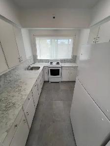 Exclusive Dorval skylight 3 1/2 - Photo 9