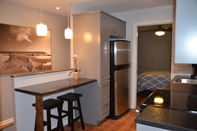 Two story, fully furnished apartment rental- long or short term