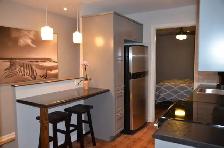 Two story, fully furnished apartment rental- long or short term