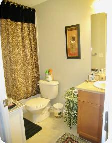 Room for Rent – Edmonton (Southwest Area) - Photo 2