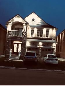 one bedroom basement for rent