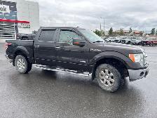 2013 Ford F-150 XLT CREW CAB 4X4 - Photo 7