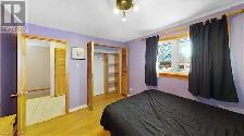 Housemate / Roommate wanted North east London