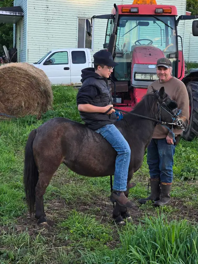 ponette 10 ans