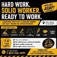 I’m looking for ANY labour WORK thank you.