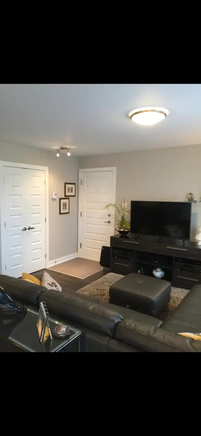 4 1/2 à louer Longueuil 1 ier août