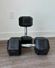 50 lb Dumbbells