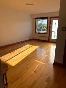 Beau 5½ lumineux, disponible le 1er août ! - Photo 2