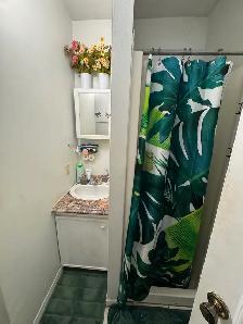 1 bedroom apartment available August 1st, 2026 - Photo 3