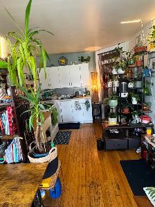 1 bedroom apartment available August 1st, 2026 - Photo 6