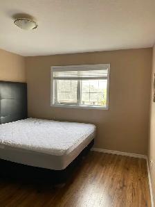 3 Beds & 3 Baths Townhouse in Briarwood Neighborhood - Photo 6