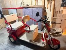 SUPER COOL 60v ELECTRIC 'GOLF CARTS' - Photo 8