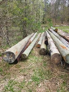 30' 40' 50' Hydro Poles //// 8' Fence Posts
