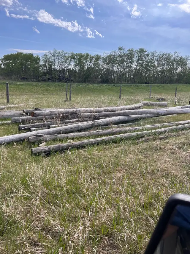 Used railway ties and telephone poles