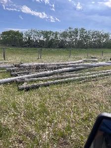 Used railway ties and telephone poles