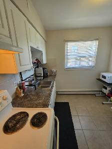 1 Bedroom Apartment for Rent in Hamilton - Photo 5
