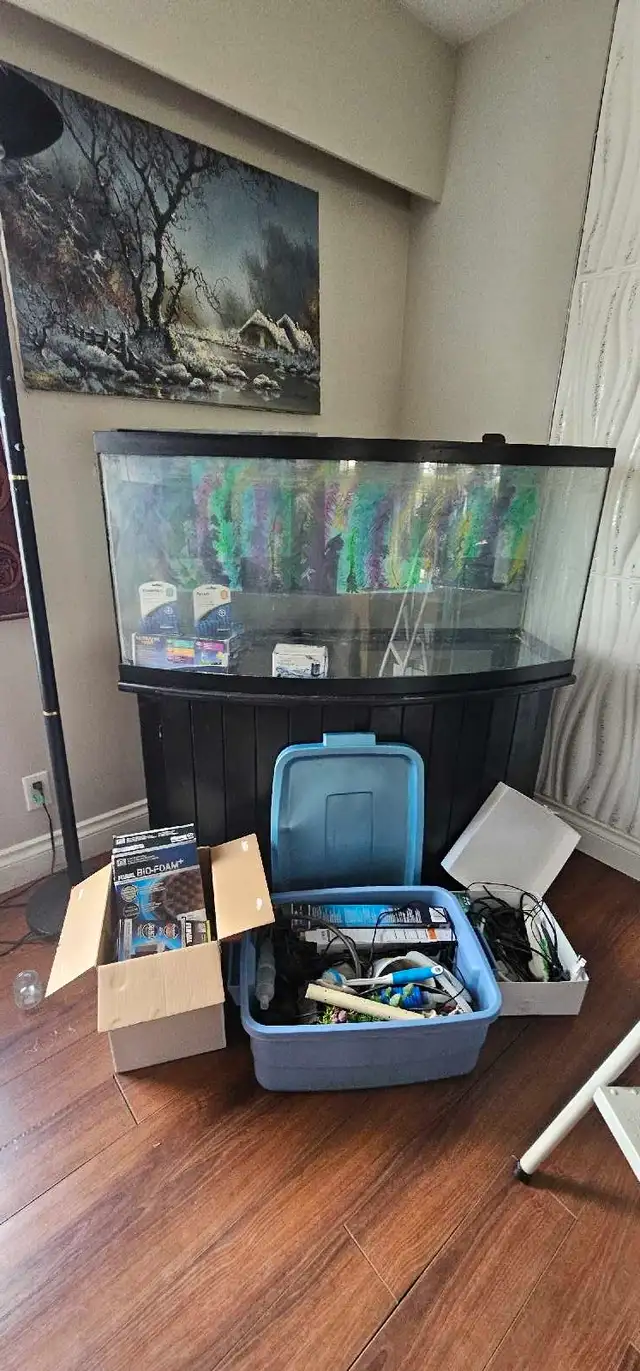 Bow front aquarium and stand 70 gallons