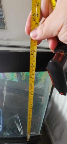 Bow front aquarium and stand 70 gallons - Photo 3
