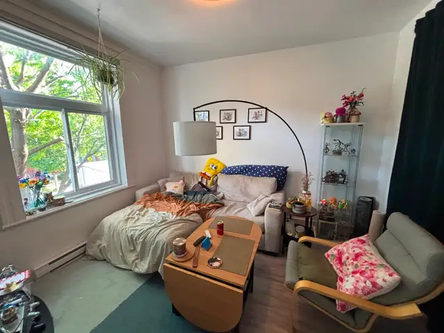 Superbe 4,5 rénové à Verdun / Beautiful 2-bedroom unit $1560