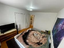 4.5, with new paint, 2-bedroom, new appliances, in Brossard - Photo 5