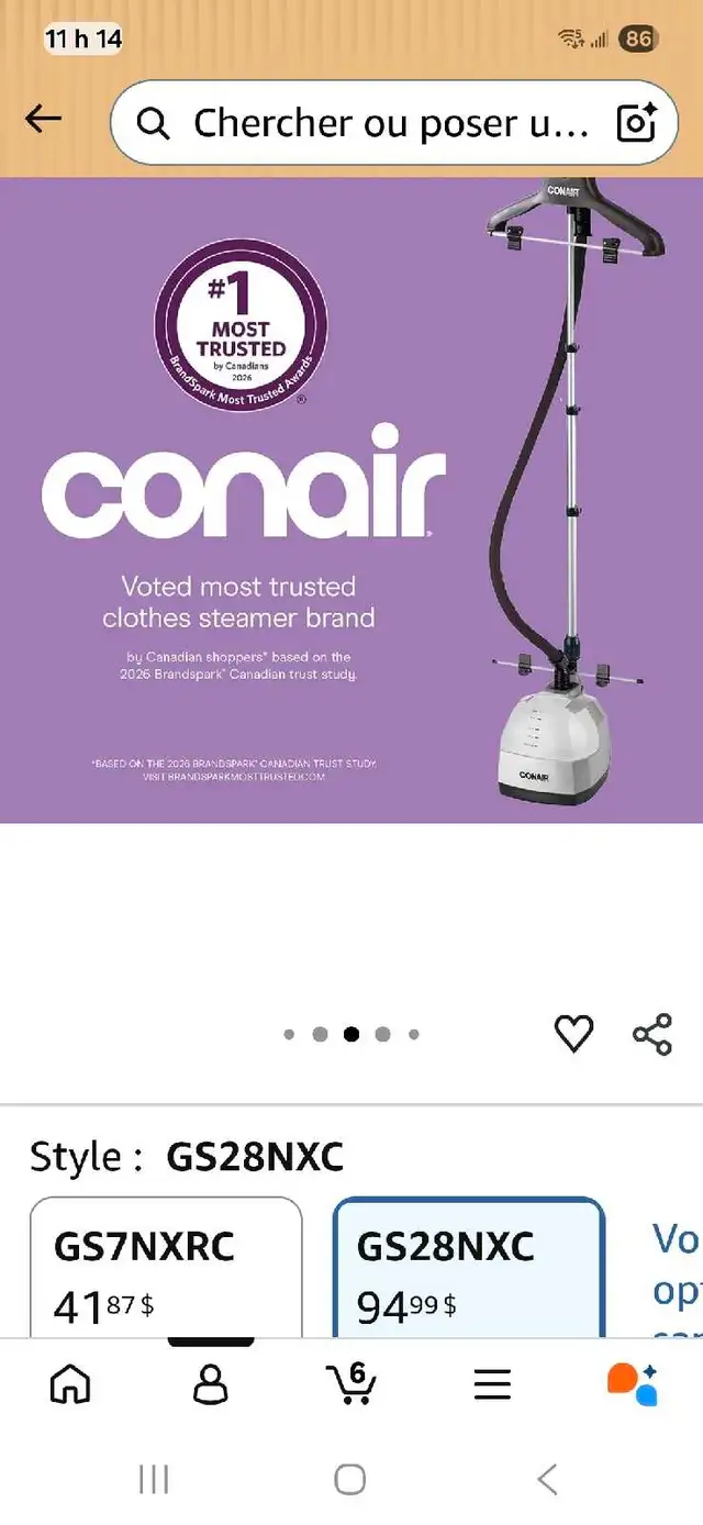 défroisseur à vapeur