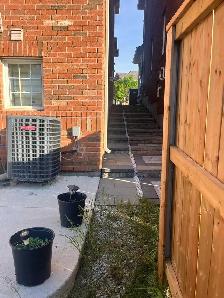 BACHELOR/STUDIO APPARTMENT  FIR RENTVIN BRAMPTON - Photo 4