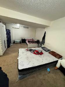 BACHELOR/STUDIO APPARTMENT  FIR RENTVIN BRAMPTON - Photo 5
