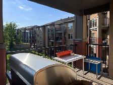 1 bedroom condo/apartment in Rutherford - Photo 10
