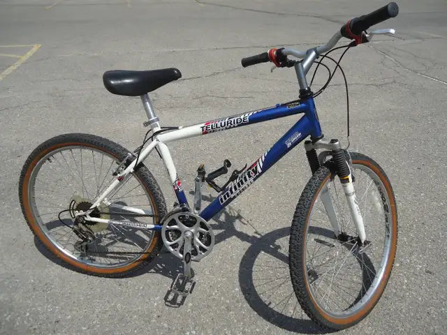 INFINITY-Telluride, Commuter Bike