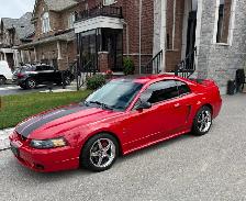 1999 Mustang SVT Cobra