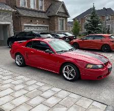 1999 Mustang SVT Cobra - Photo 2