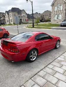 1999 Mustang SVT Cobra - Photo 3
