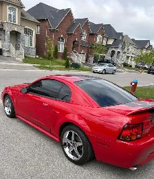 1999 Mustang SVT Cobra - Photo 4