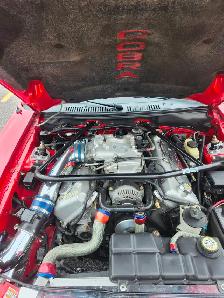 1999 Mustang SVT Cobra - Photo 8