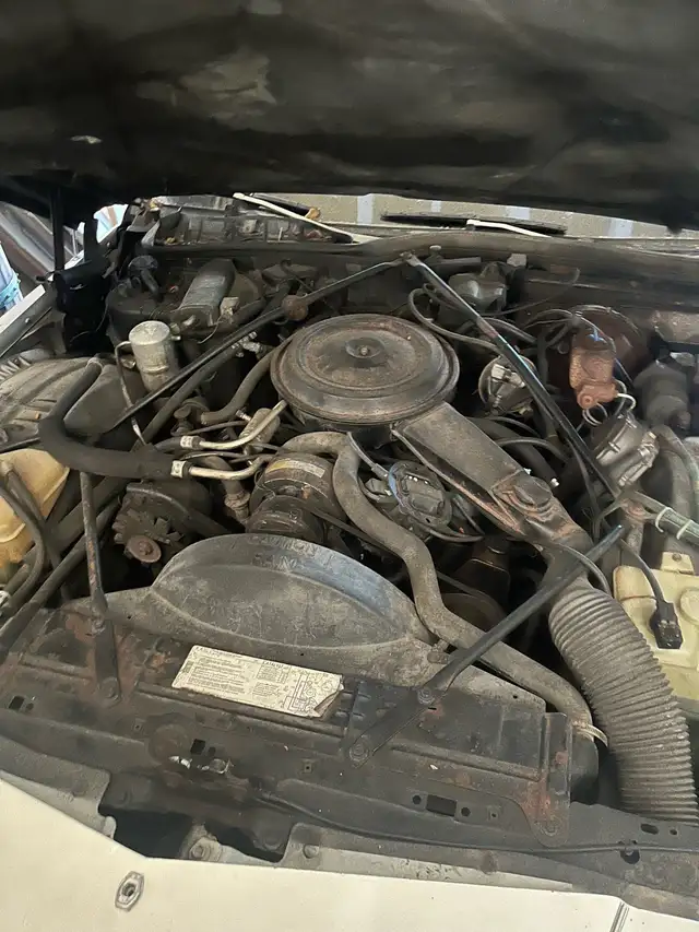 1980 Cadillac Fleetwood Brougham  Best Offer