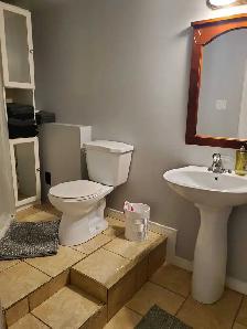 Bright 1 BR Basement Apartment All Inclusive w/ parking - Photo 10