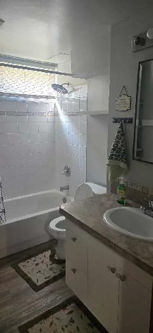 Room Rental- Great Deal - Photo 4