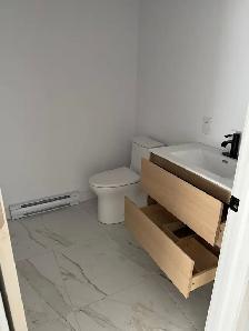 Local commercial à louer – Laval 2875 Boulevard Ste-Rose - Photo 6