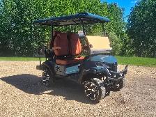 2026 Electric Lithium Golf Cart - Photo 2