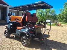 2026 Electric Lithium Golf Cart - Photo 3