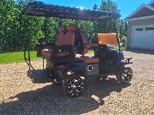2026 Electric Lithium Golf Cart - Photo 4